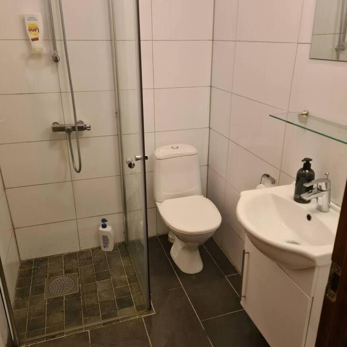 Lake View Apartment, Oldedalen Стрюн Экстерьер фото